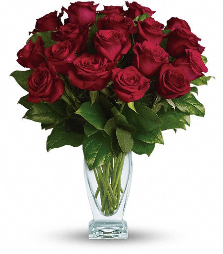 Rose Classique